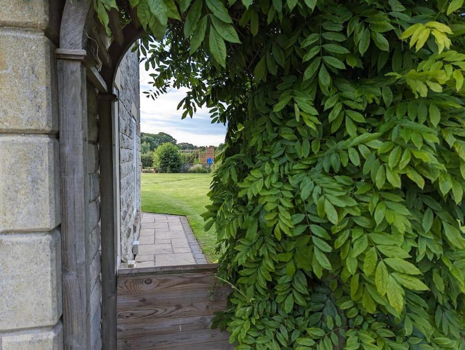 Millfield Cottage Йорк Екстериор снимка